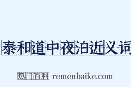 泰和道中夜泊近义词是什么意思的图片